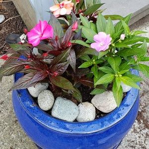 Meet your Posher, Deanna